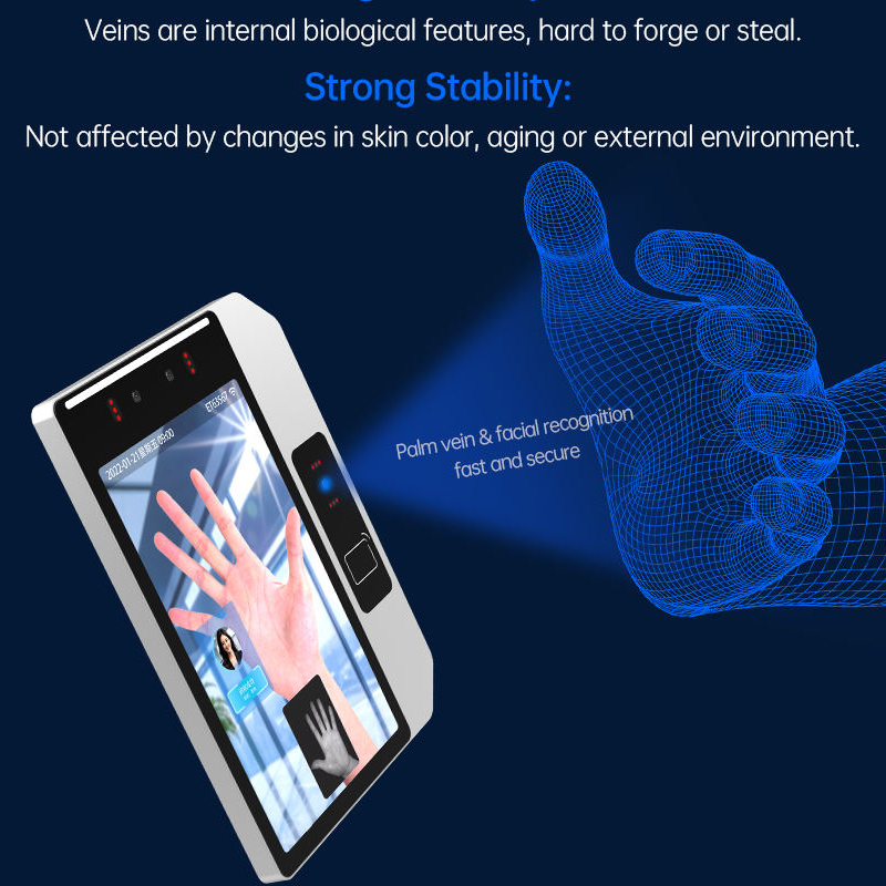 Palm Vein Recognition